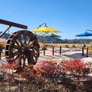 강나루체육공원 이미지