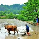 병옥농장 이미지