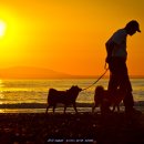 고향생각 이미지