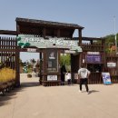 메리트 검도관 | 김해 가야테마파크 포토존도 많고 어드벤처 즐겁고