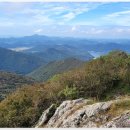 쌍계사 상록수림 이미지