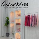 수원-0352 | [컬러블리스 퍼스널컬러]퍼스널 컬러진단 후기/동탄 퍼스널 컬러/웨딩 준비 필수✨나에게 맞는 컬러 찾기🎨