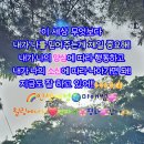 소신 - 익산시 동서로21길 94-5 | 소신