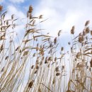 해강냉장 이미지