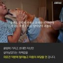 위로