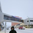 오로라1 | [캐나다여행 #13일차] 옐로우나이프 1일차! 오로라 헌팅 후기