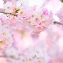 거북섬프라자 이미지