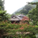 밀양 가볼 만한 곳, 힐링과 체험이 있는 여행코스 이미지