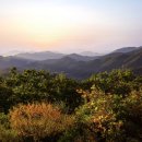 수원-0700 이미지