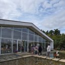 초록마을 남창점 | 천안 감성카페 추천 / 자연 속 힐링 공간 ‘이숲’ 카페 방문기