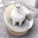 루나피쉬
