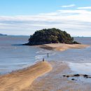 바다와 숲 이미지