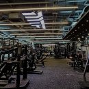 머슬탑 휘트니스 본점 이미지