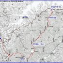 대미산 Daum카페
