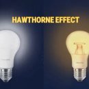 호손컴퍼니 이미지