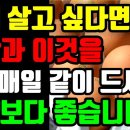 계란과 함께 먹으면 좋은 음식(호박,부추,브로콜리,도마도,양파) 이미지