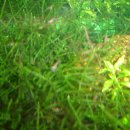 명월로에서 이미지