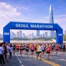 포항종합공설운동장일대 | 2026년 전국 마라톤 대회 일정 정리