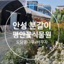 평안꽃식물원 | 안성 평안꽃식물원 : 분갈이전문 화분구입 내돈내산 방문후기