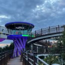 앞산 맛둘레길 경관 이미지