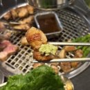 대전 시청역 고기 맛집 | ‘오백돈’ 제주 오겹살+한라백살 먹은 후기