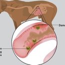 24시 동탄윌 동물의료센터 이미지