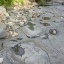 [영상컬럼]문화＊예술 (디카)포토뉴스[04/06/11] 이미지