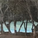 파스쿠찌대천해수욕장점