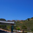 보성녹차리조트 이미지