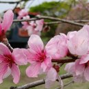 드림파크 이미지