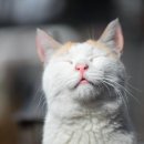 기승전 휴베이스약국 이미지