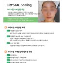 스킨톡에스테틱 이미지