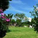 대연수목전시원 이미지