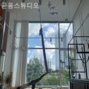 곧음스튜디오