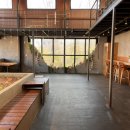 2389 | 천안 애견카페 [평생함께] 솔직후기 / 천연잔디로 뛰어놀기 좋은 애견카페