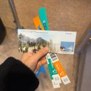 씨월드 | 거제 씨월드 아이동반 여행 후기｜거제도 실내체험 벨루가 돌고래 아쿠아리움 추천