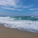 불이채민박 | 강원도 여행 삼척시 맹방해수욕장&amp;불이채민박 후기