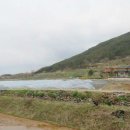 창녕부동산중개 이미지