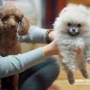 까꿍이 하우스 이미지