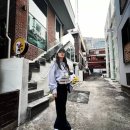 펫맘애 이미지