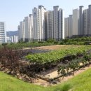 부산해마루학교 이미지