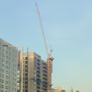 5층조은약국 이미지