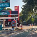 소나무언덕잠실본동도서관 이미지