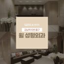 강남편하지의원 | 강남역성형외과비용 시술 전 확인해야 할 구성은