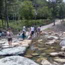 펜션티케하우스 이미지