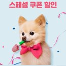 고양이집사 | 자로우 락토페린, 고양이 구내염 집사님들의 후기가 많은 이유!