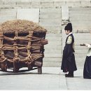 사도푸드
