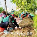 충원대로 이미지