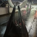 별난만두 경산점 이미지