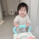 베이블 | 베이블퓨어리 걸음마보조기..사도 될까? 솔직 후기
